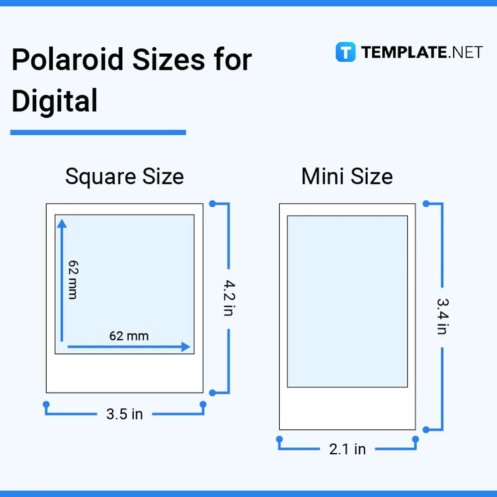 Free $20 Polaroid Reward