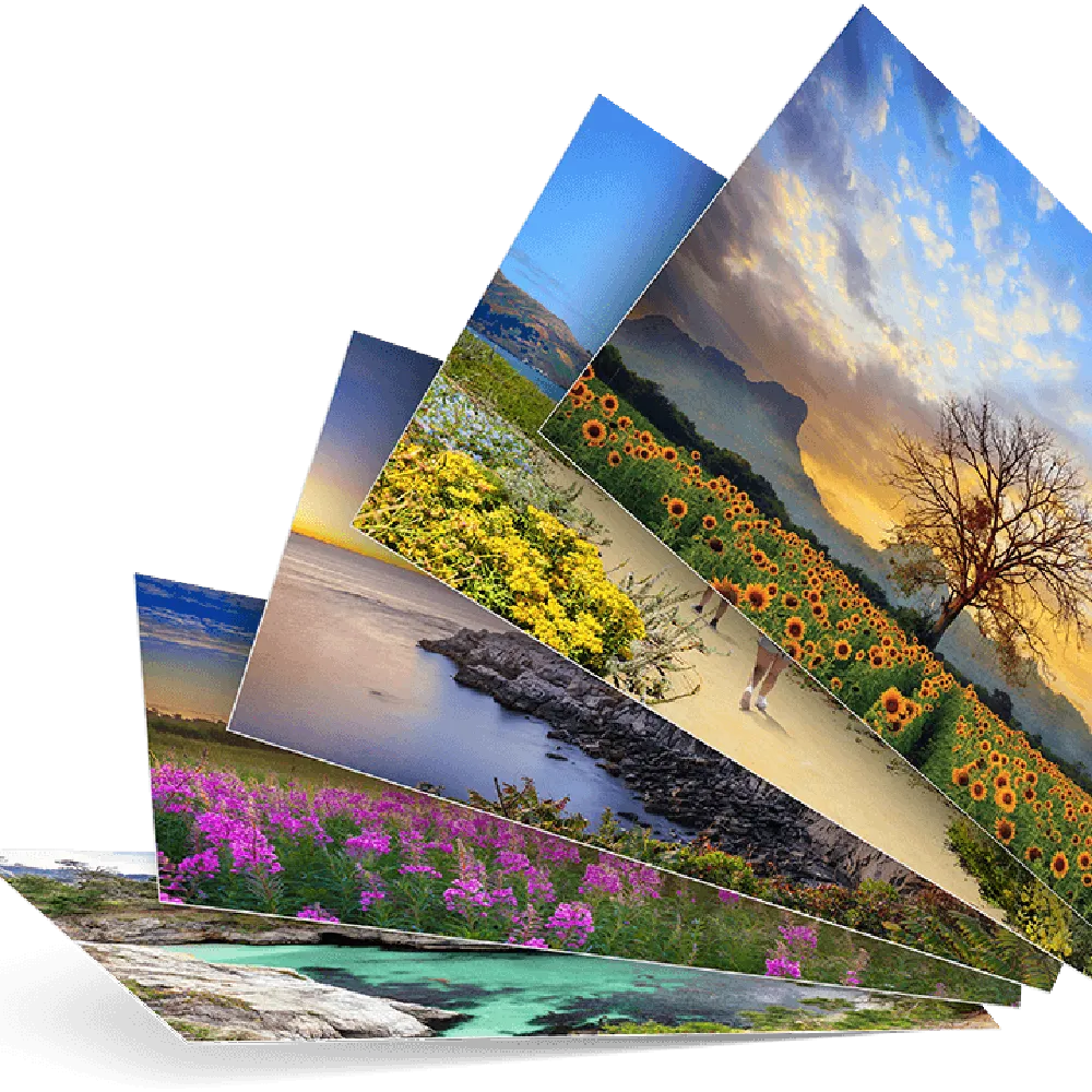 Free 57 Photo Prints From Walgreen