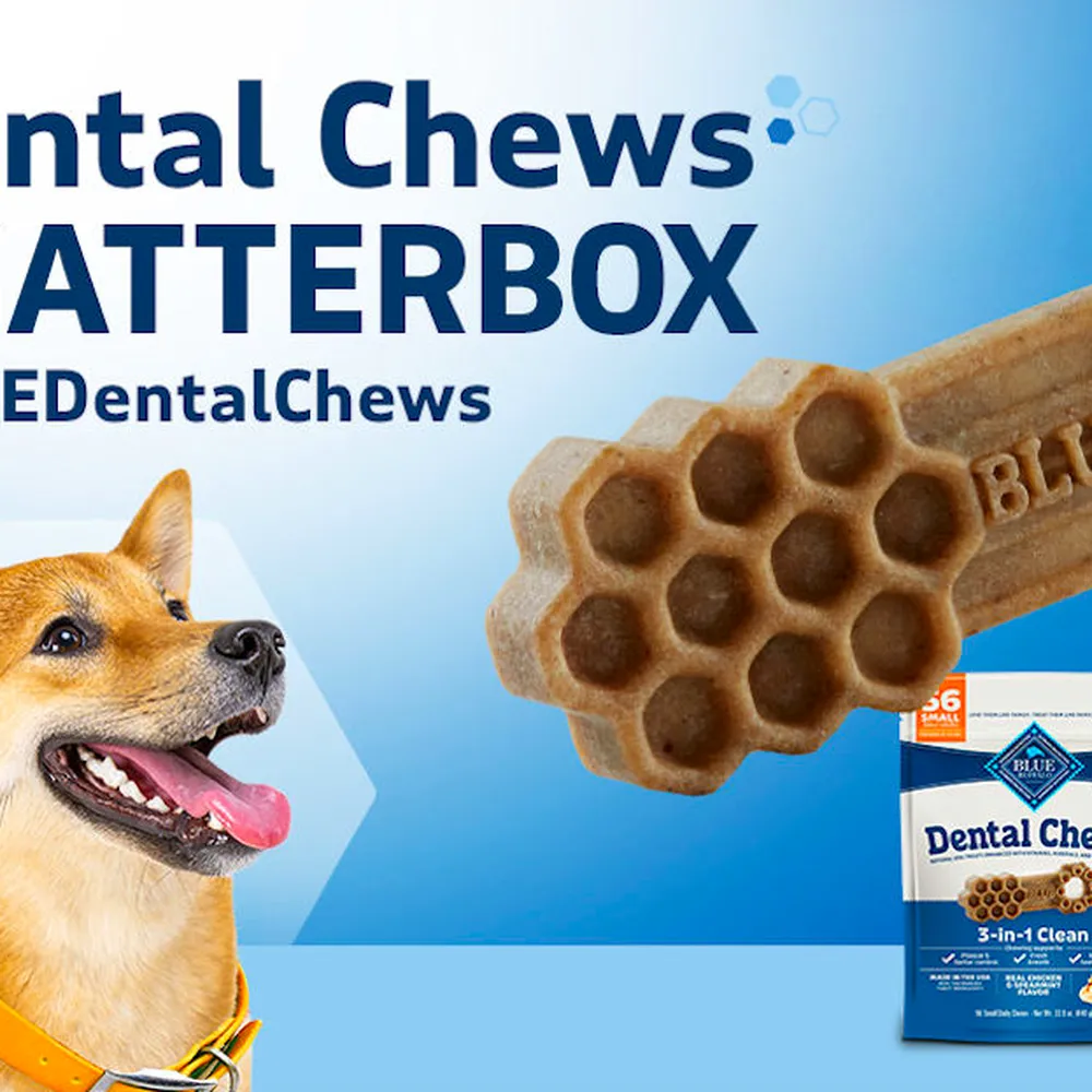 Free Blue Buffalo Valentines Day Be Mine Bars Chatterbox Kit