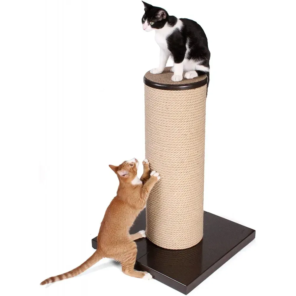 Free Catify Climb N Scratch Post