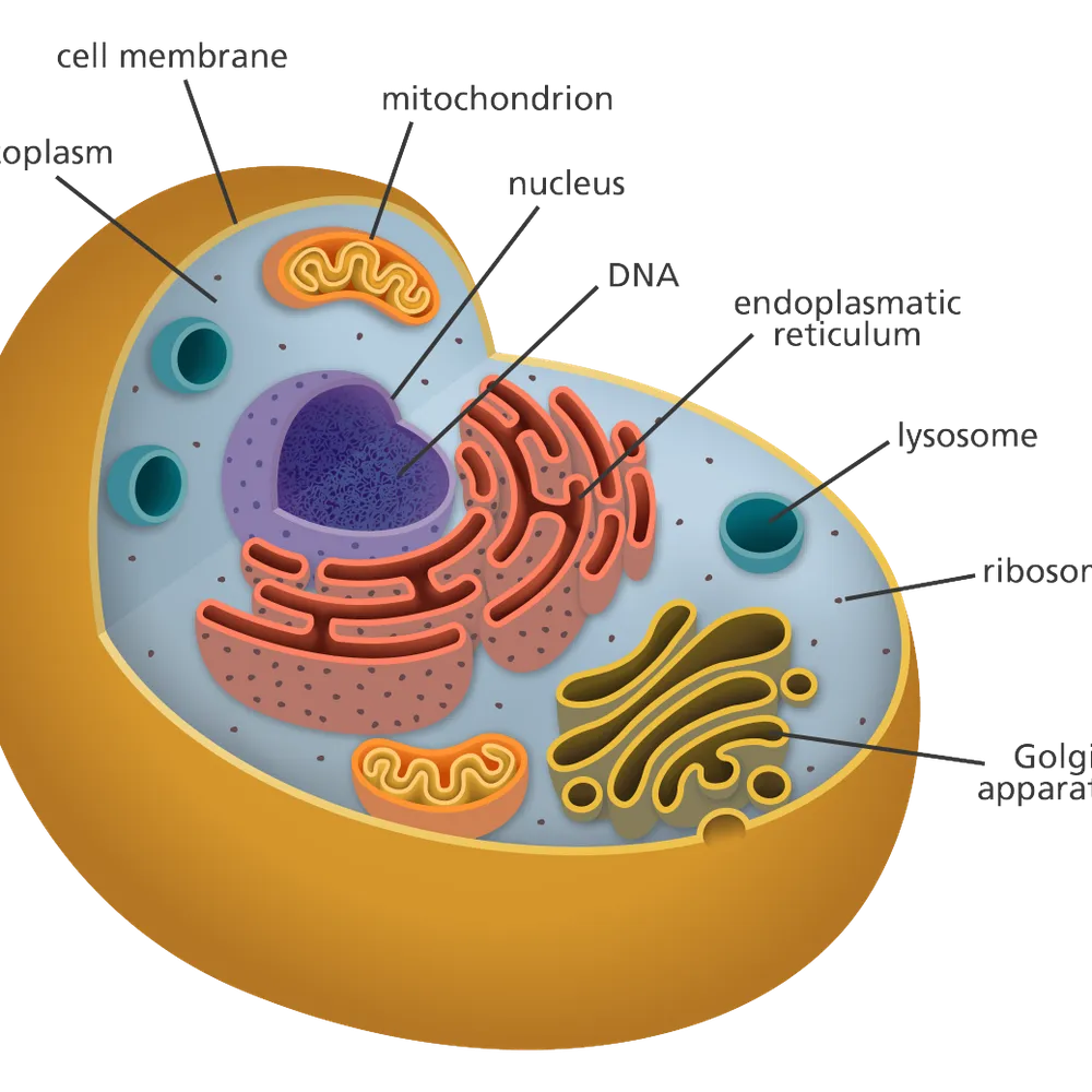 Free Cell Fusion C Skincare Products From Cell Fusion C Creator Program