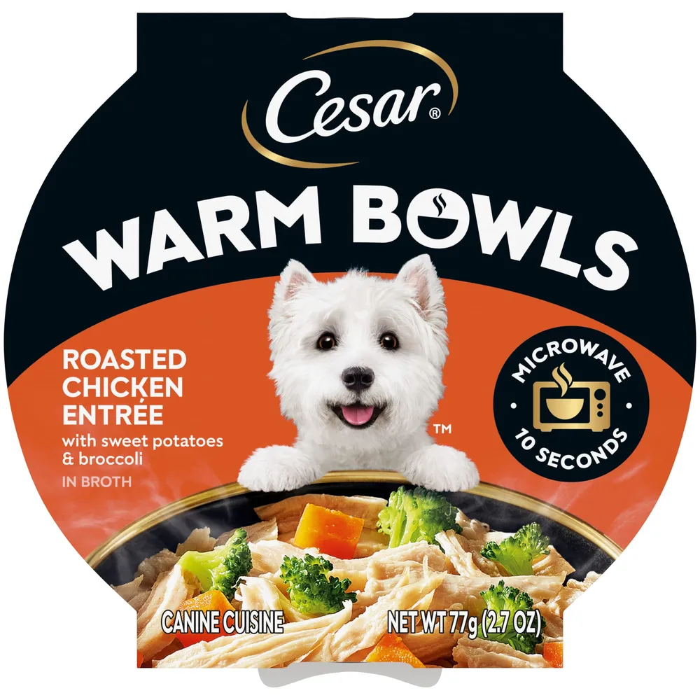 Free CESAR WARM BOWLS Sample