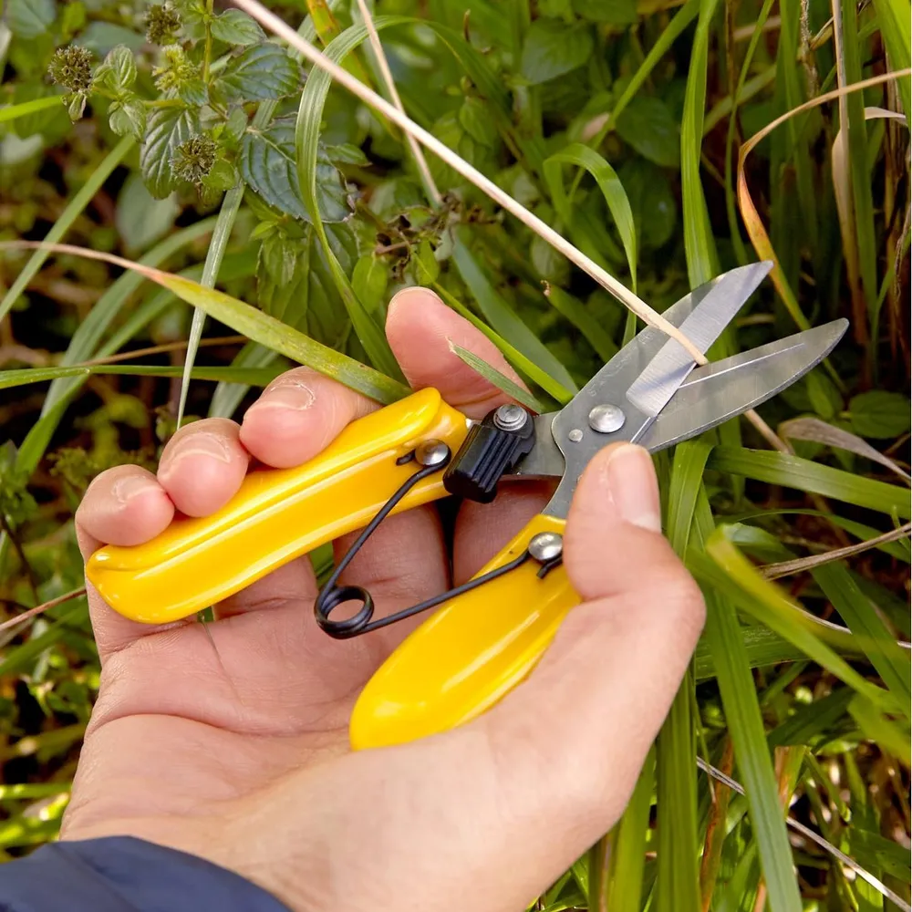 Free Garden Snips At Lowes