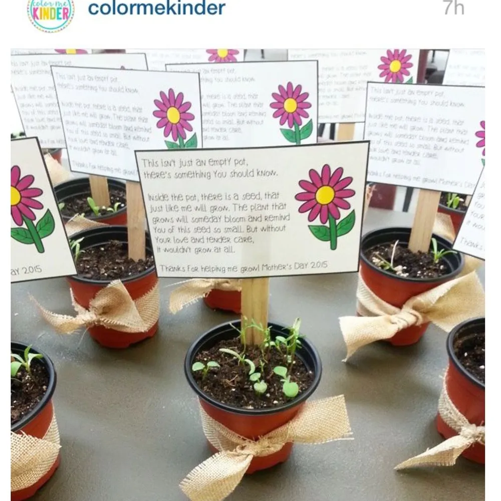 Free Mothers Day Plant-a-pot Activity From Fleet Farm