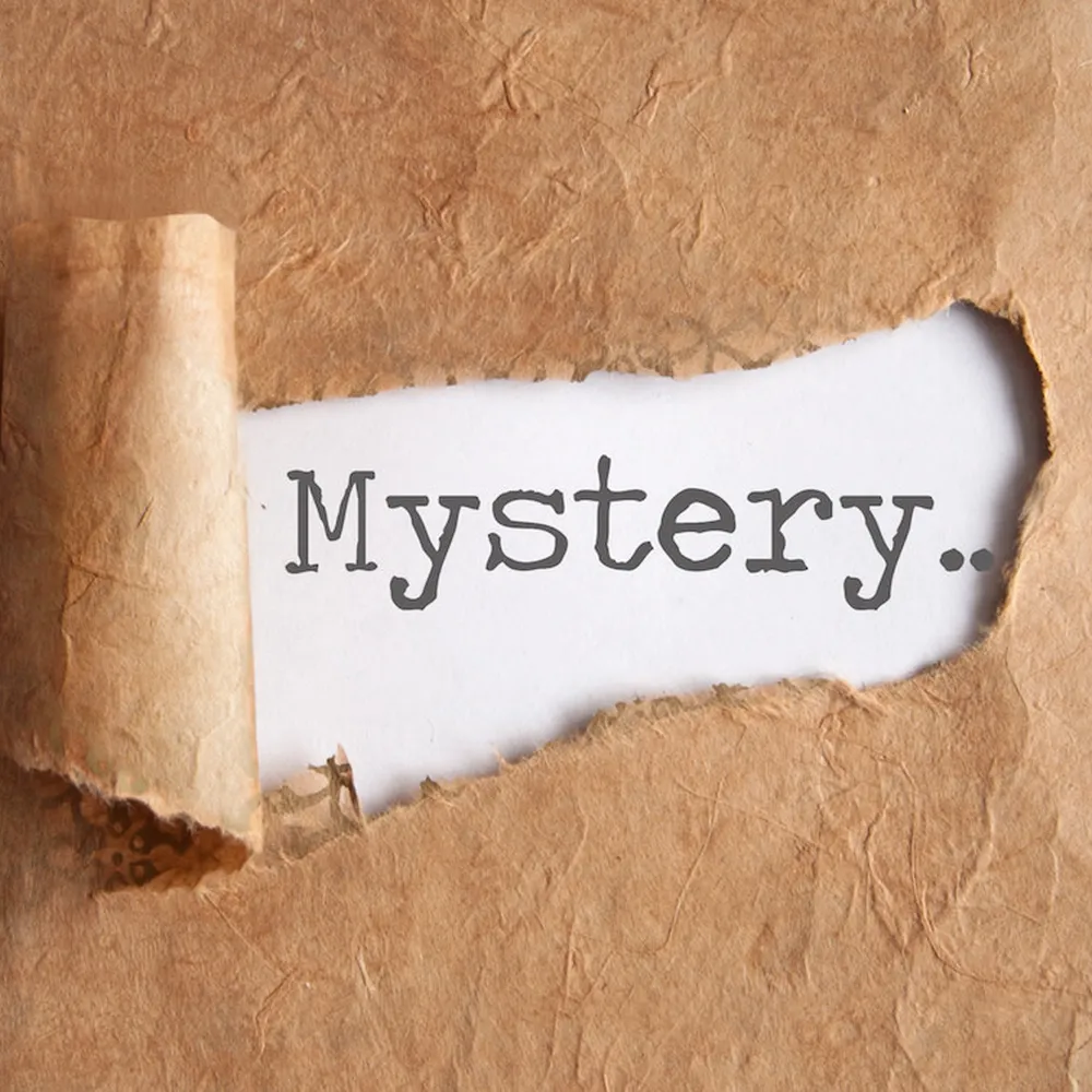 Free Mystery Gift And Kids Shirt From Callsky